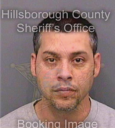 Perez Noel - Hillsborough County, FL 