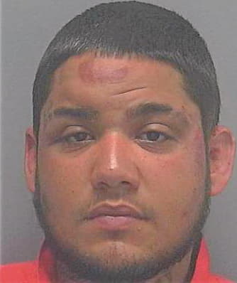 Birriel Darvin - Lee County, FL 