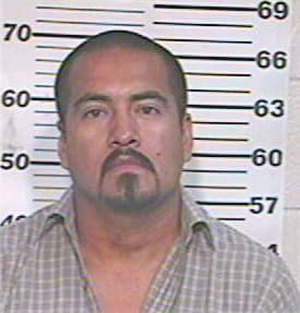 Hernandez Teodoro - Hidalgo County, TX 