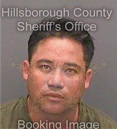 Navarroescalona Maikel - Hillsborough County, FL 