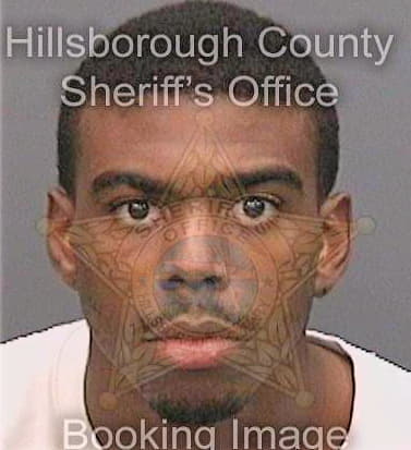 Lewis Maurice - Hillsborough County, FL 