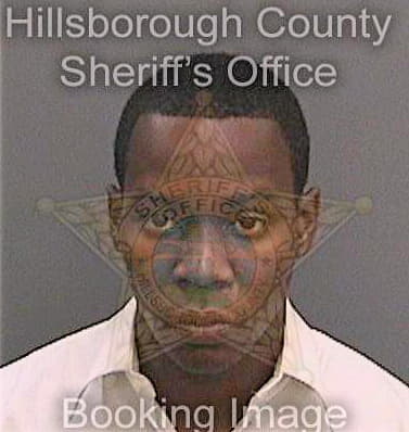 Ferguson Jason - Hillsborough County, FL 