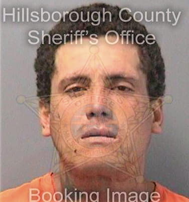 Garcia Enrique - Hillsborough County, FL 