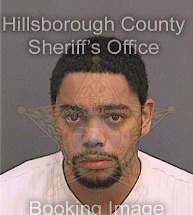 Diazpizarro Ismael - Hillsborough County, FL 