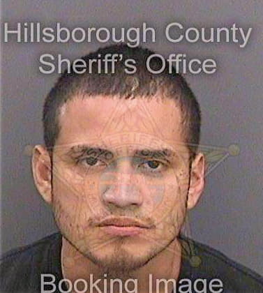 Martinez Jorje - Hillsborough County, FL 