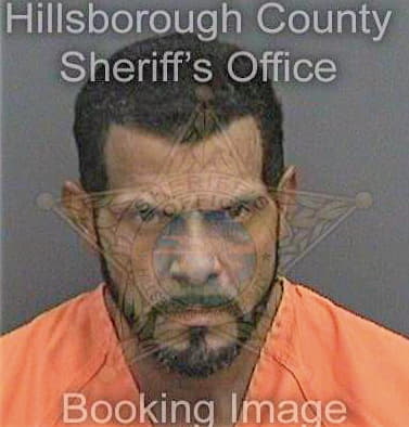 Correaguzman Jose - Hillsborough County, FL 