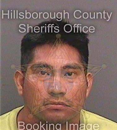 Jimenezdelacruz Carlos - Hillsborough County, FL 