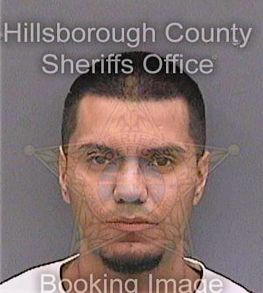 Silva Juan - Hillsborough County, FL 