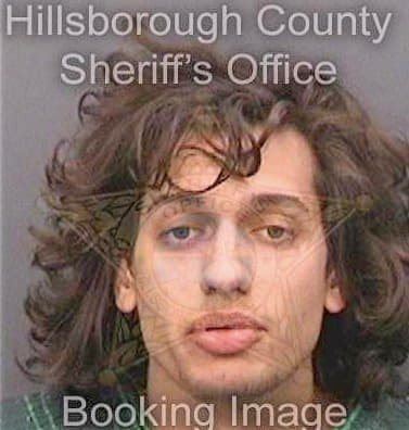 Ardalan Ashkahn - Hillsborough County, FL 