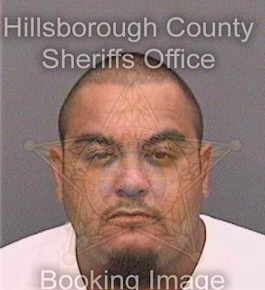 Rodriguez Adan - Hillsborough County, FL 