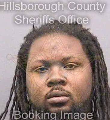 Johnson Anthony - Hillsborough County, FL 