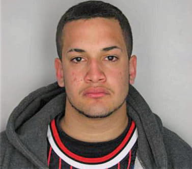 Medina Brian - Hillsborough County, FL 