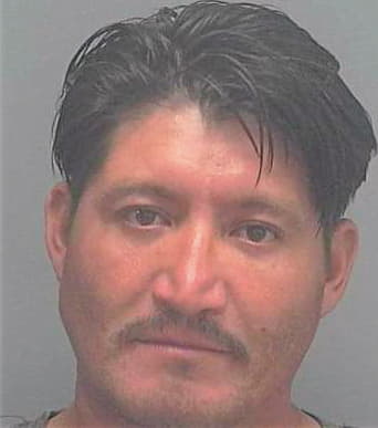 Santos Antonio - Lee County, FL 