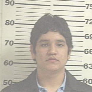 Molina Sergio - Hidalgo County, TX 