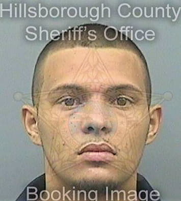 Navarro Rolando - Hillsborough County, FL 