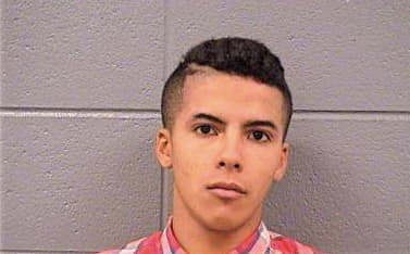 Rivera Joshua - Cook County, IL 