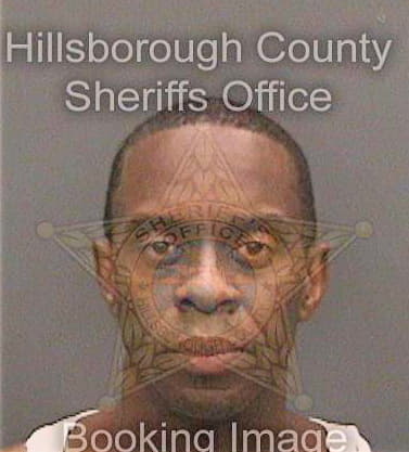 Odom Tyson - Hillsborough County, FL 