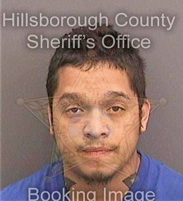 Rangel Carlos - Hillsborough County, FL 