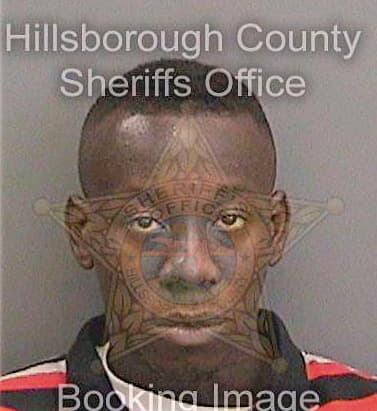 Johnson Frederick - Hillsborough County, FL 