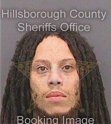 Lewis Sayyid - Hillsborough County, FL 