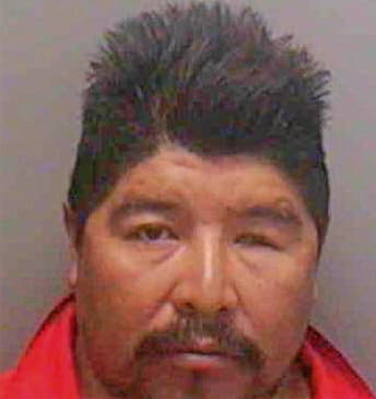 Suarez-Bonilla Felix - Lee County, FL 