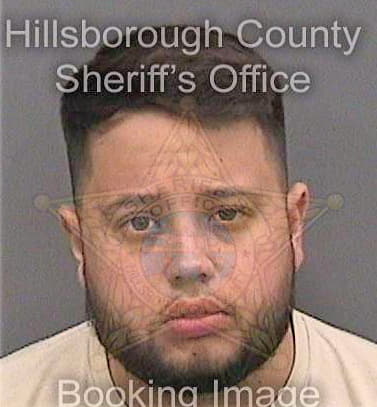 Hosey Michael - Hillsborough County, FL 