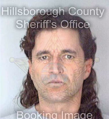 Gonzalez Luis - Hillsborough County, FL 