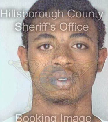 Johnson Terrence - Hillsborough County, FL 