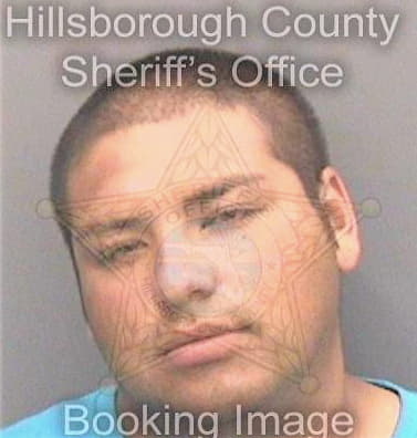 Ferreiravazquez Jose - Hillsborough County, FL 