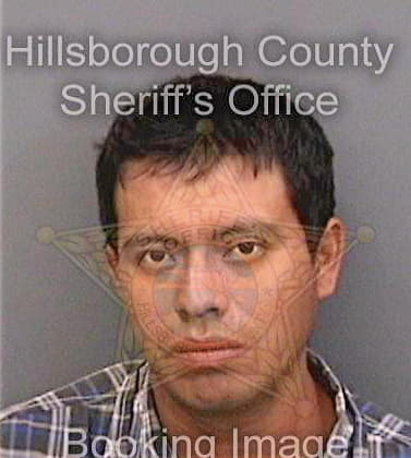 Gomezreyes Josue - Hillsborough County, FL 