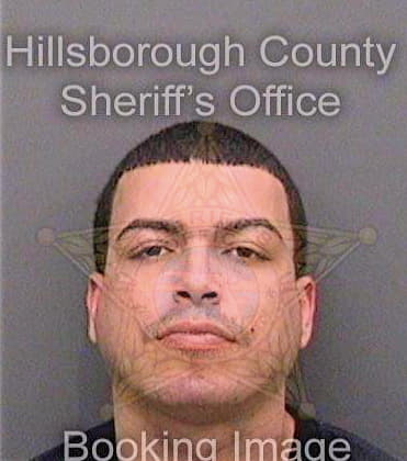 Cottobruno Chayenne - Hillsborough County, FL 