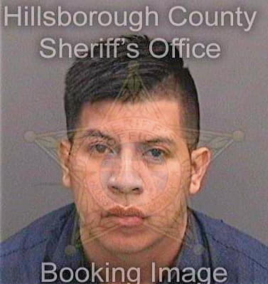 Niz Vinicio - Hillsborough County, FL 