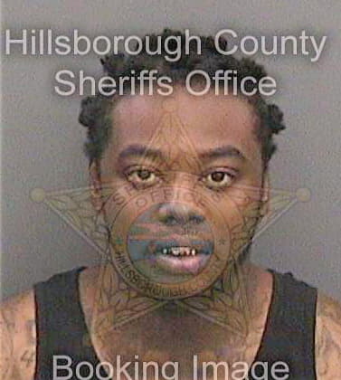 Mccoy Tavaris - Hillsborough County, FL 