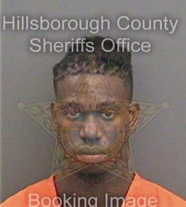 Boswell Ivory - Hillsborough County, FL 