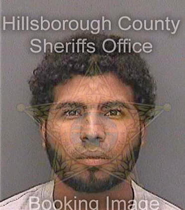 Mejia Olivert - Hillsborough County, FL 