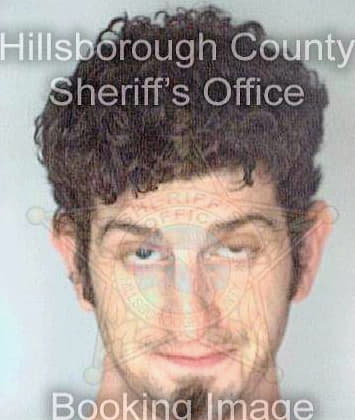 Doran Sean - Hillsborough County, FL 