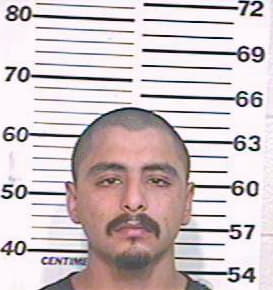 Hernandez Arnulfo - Hidalgo County, TX 