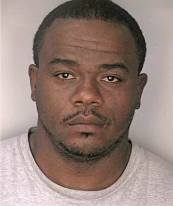Simmons Robert - Hillsborough County, FL 