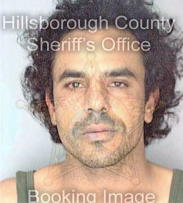 Santiago Jorge - Hillsborough County, FL 