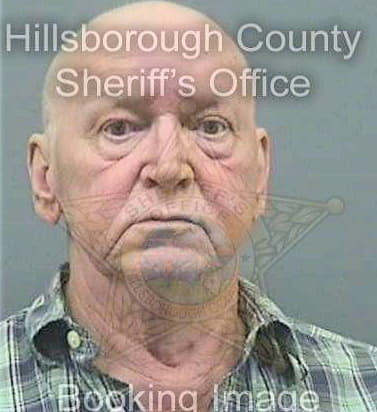 Mcdaniel George - Hillsborough County, FL 
