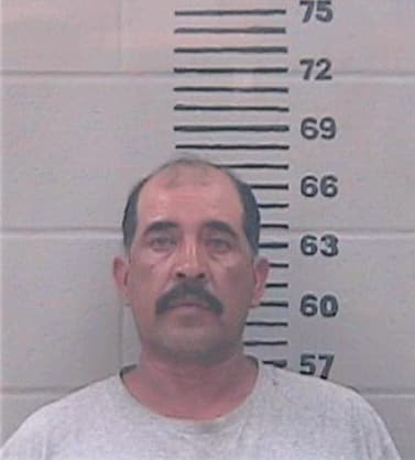 Rivas Luis - Gillespie County, TX 