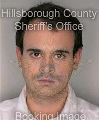 Mcnicholas James - Hillsborough County, FL 