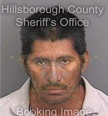 Lopez Miquel - Hillsborough County, FL 