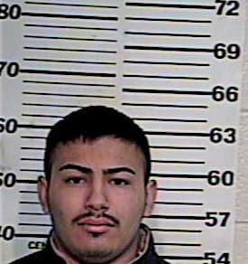 Hernandez Fidencio - Hidalgo County, TX 