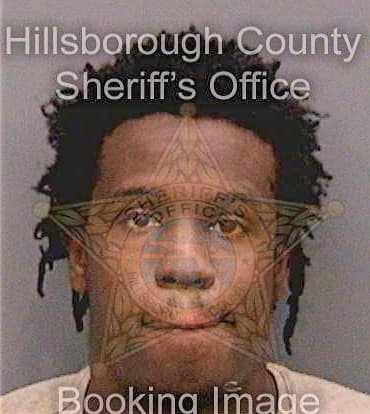 Majied Malik - Hillsborough County, FL 