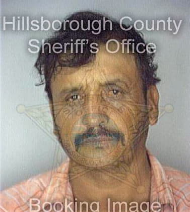 Silva Mario - Hillsborough County, FL 