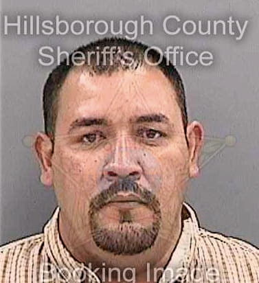 Perezcastro Wilberto - Hillsborough County, FL 