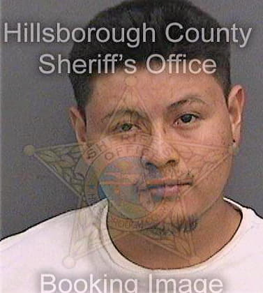 Blas Adan - Hillsborough County, FL 