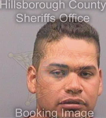 Perezjaimez Ernesto - Hillsborough County, FL 