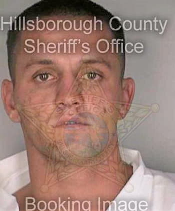 Mclaughlin Shane - Hillsborough County, FL 